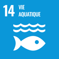 14. La vie sous-marine